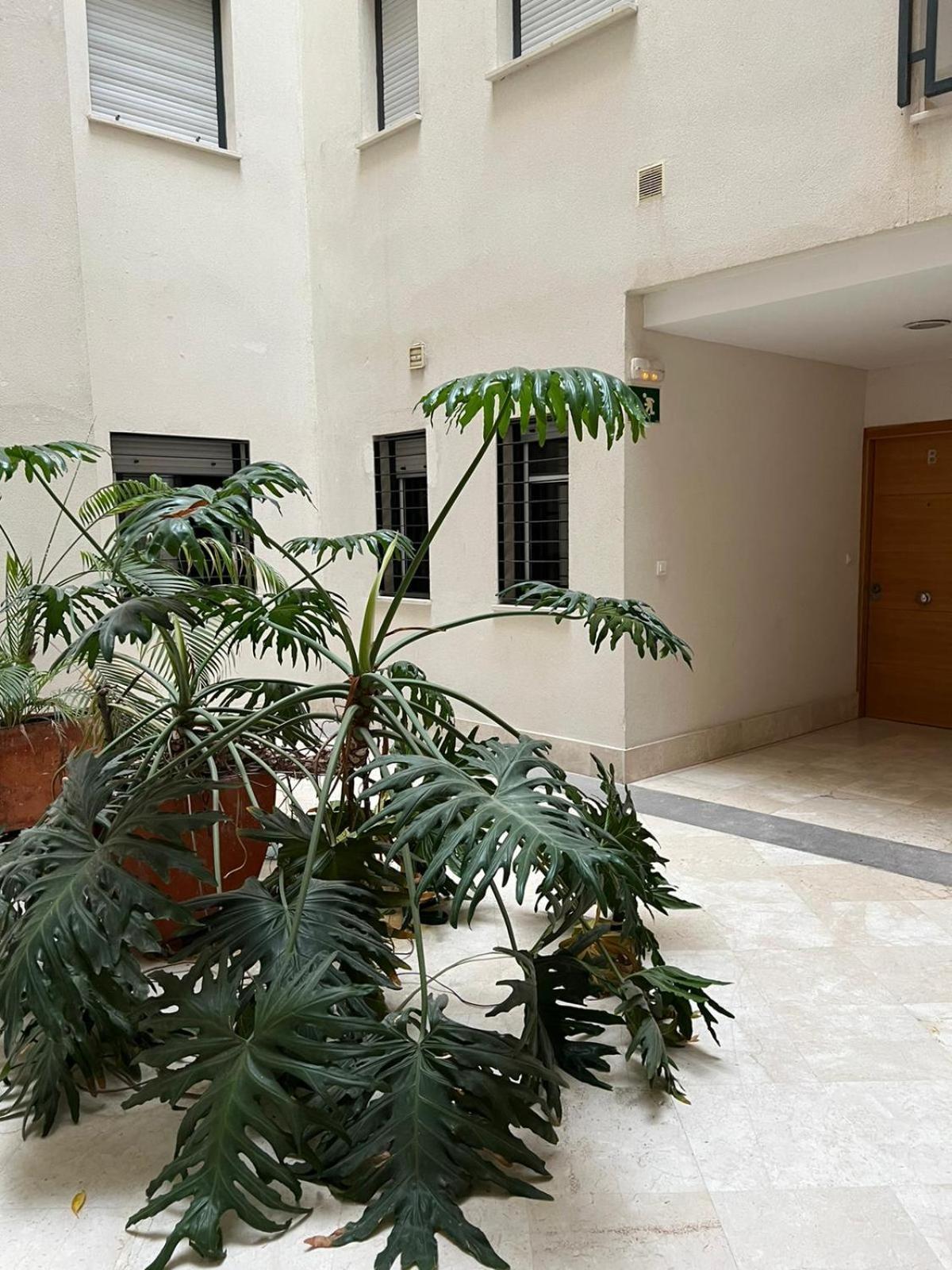 Habitaciones Privadas En Apartamento Compartido อัลเฮซิราส ภายนอก รูปภาพ